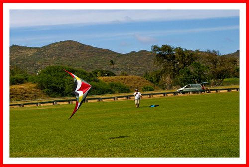 types of kites