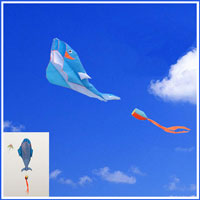 different types of kites