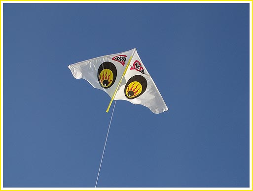kids types of kites