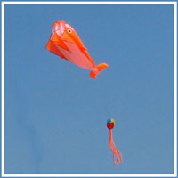 different types of kites