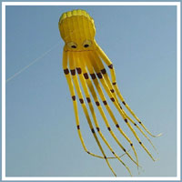 different types of kites